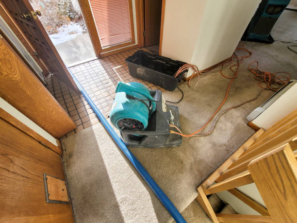 Best Water damage restoration insurance claims  in Central Gardens, TX