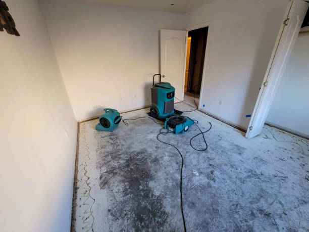 Best 24/7 water damage repair  in Central Gardens, TX