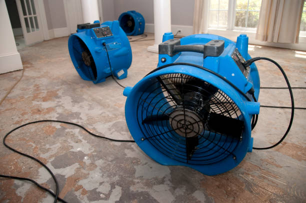 Best Carpet water damage restoration  in Central Gardens, TX