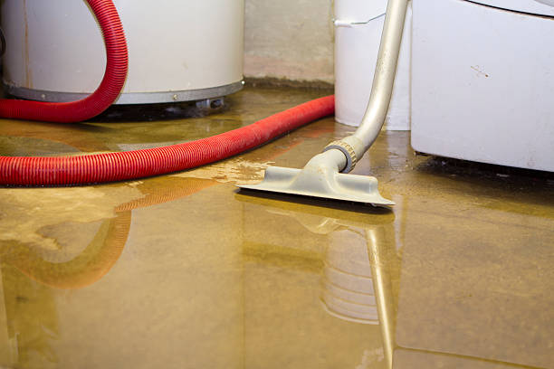 Best Water damage restoration near me  in Central Gardens, TX