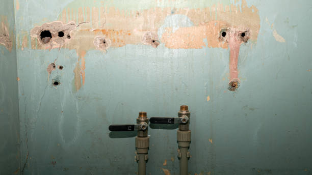 Best Professional water damage repair  in Central Gardens, TX