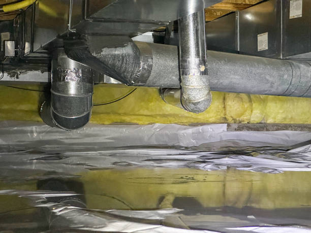 Water damage restoration mold remediation in Central Gardens, TX