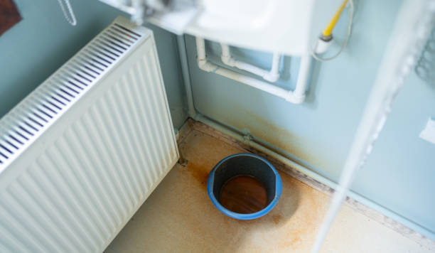 Best Flood restoration services  in Central Gardens, TX