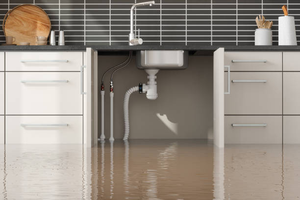 Best Water damage cleanup near me  in Central Gardens, TX