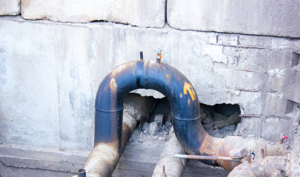 Reliable Central Gardens, TX Water damage restoration Solutions