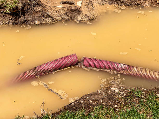 Water damage restoration insurance claims in Central Gardens, TX